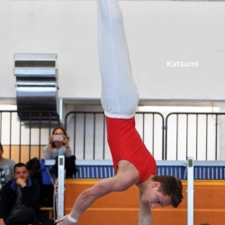 Sebestyen-2
